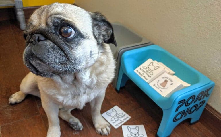 Pork Chop the inspiration behind Fluff Trough with his custom stickers from StickerGiant