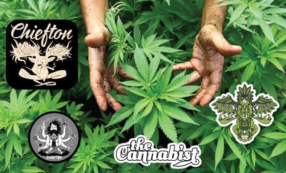 StickerGiant Cannabist Chiefton Supply Stickers