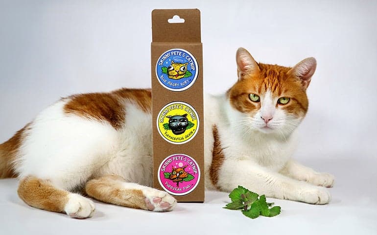 Skinny Petes Catnip Labels on a box of catnip with Tucker the Cat to show custom labels printed by StickerGiant