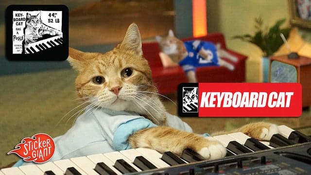 Keyboard Cat Custom Stickers Printed by StickerGiant