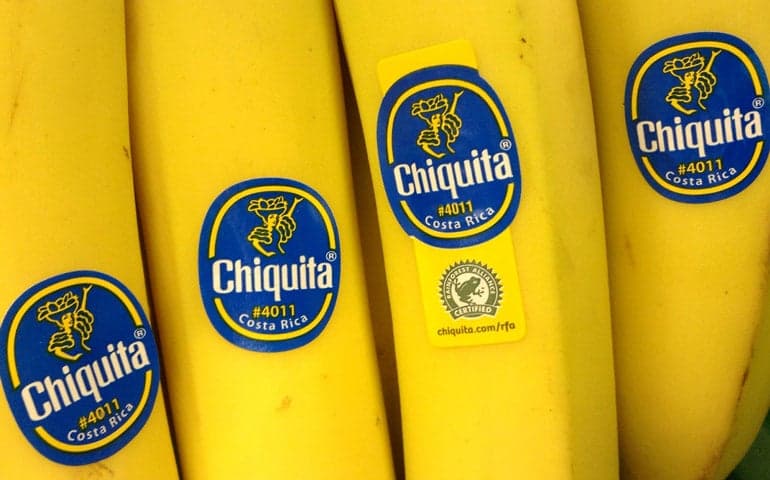 Image of Chiquita Banana Original Image from JeepersMedia shared on StickerGiant Blog 2019